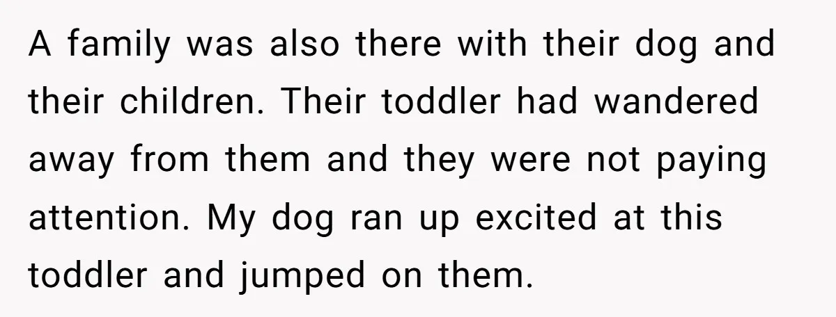A family was also there with their dog and their children. Their toddler had wandered away from them and they were not paying attention. My dog ran up excited at...