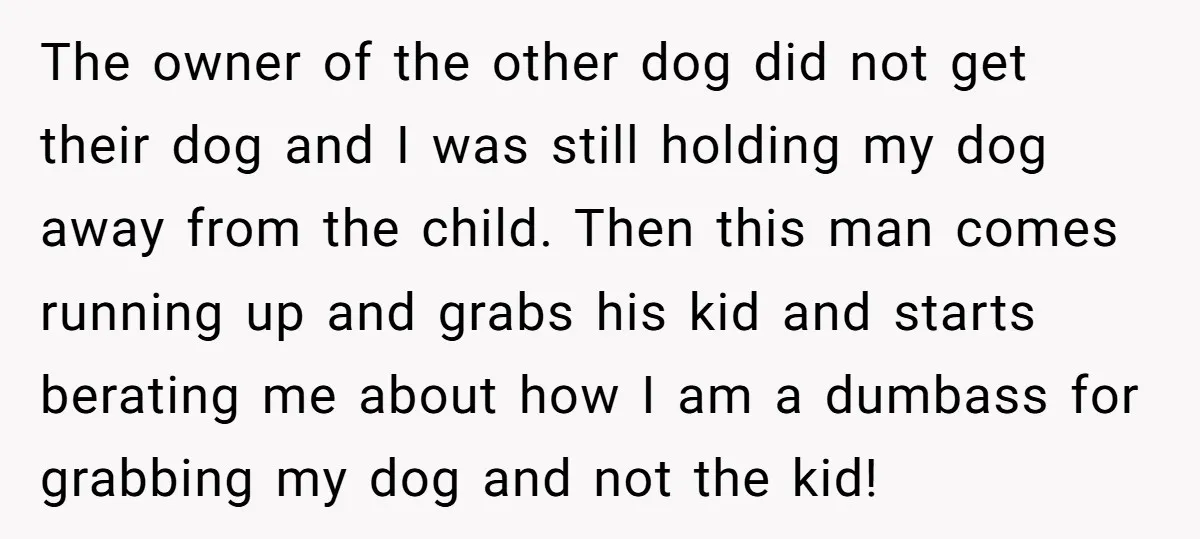 The owner of the other dog did not get their dog and I was still holding my dog away from the child. Then this man comes running up and grabs...