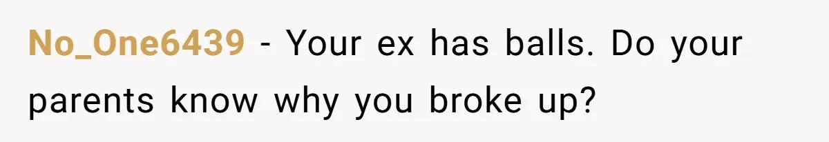 No_One6439 − Your ex has balls. Do your parents know why you broke up?
