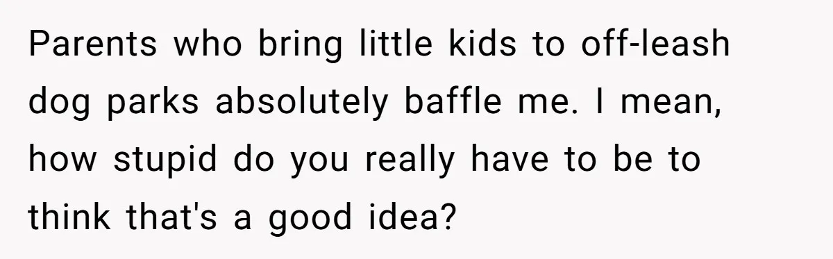 Parents who bring little kids to off-leash dog parks absolutely baffle me. I mean, how stupid do you really have to be to think that's a good idea?