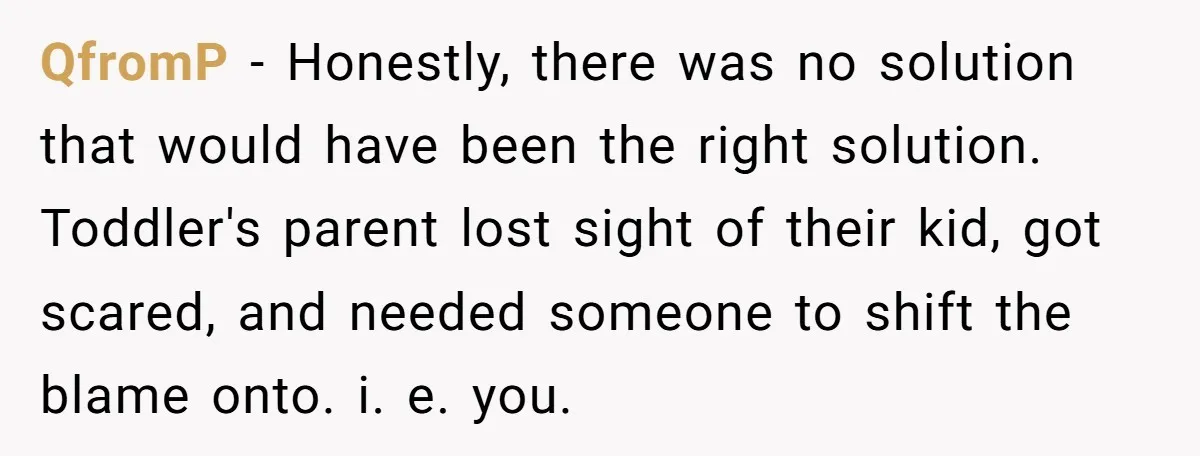 QfromP − Honestly, there was no solution that would have been the right solution. Toddler's parent lost sight of their kid, got scared, and needed someone to shift the blame...