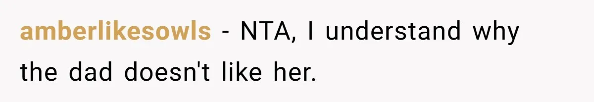 amberlikesowls − NTA, I understand why the dad doesn't like her.