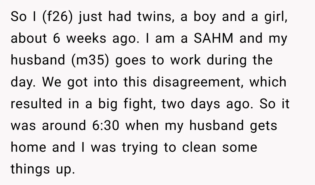 So I (f26) just had twins, a boy and a girl, about 6 weeks ago. I am a SAHM and my husband (m35) goes to work during the day. We...