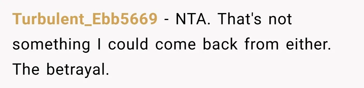Turbulent_Ebb5669 − NTA. That's not something I could come back from either. The betrayal.