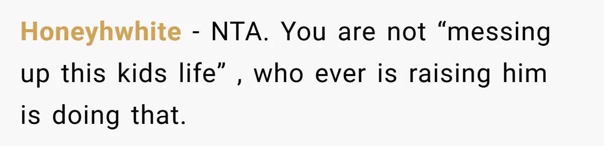 Honeyhwhite − NTA. You are not “messing up this kids life” , who ever is raising him is doing that.