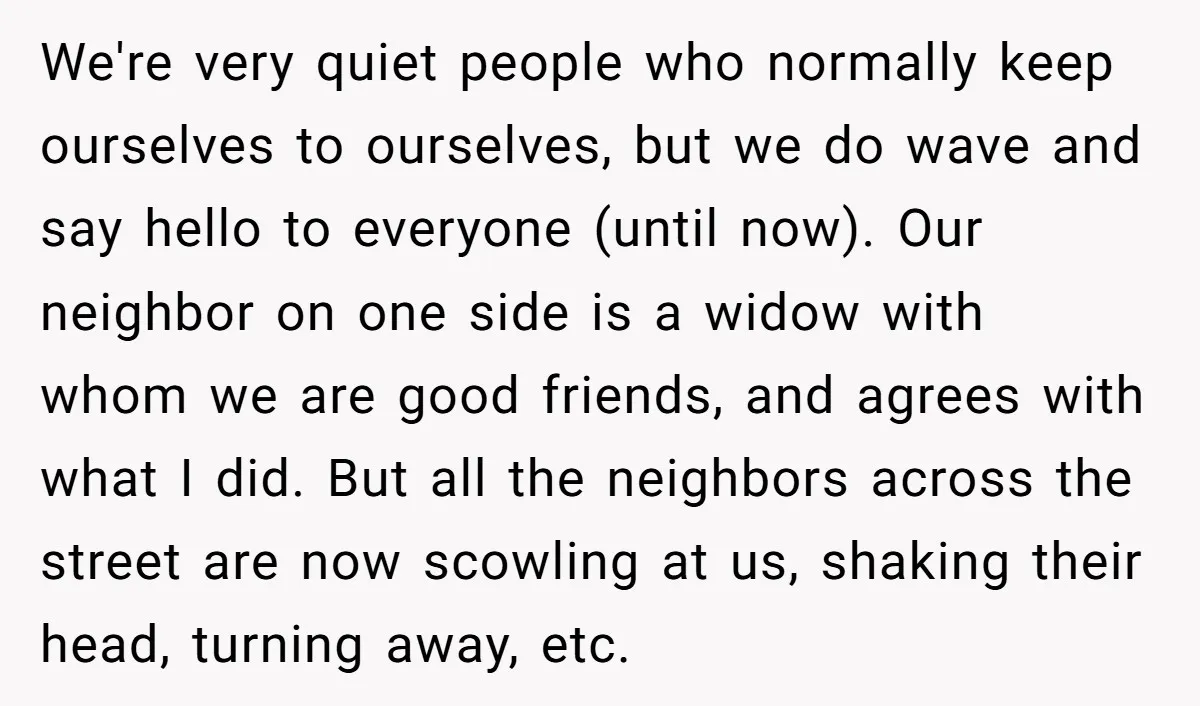 We're very quiet people who normally keep ourselves to ourselves, but we do wave and say hello to everyone (until now). Our neighbor on one side is a widow with...