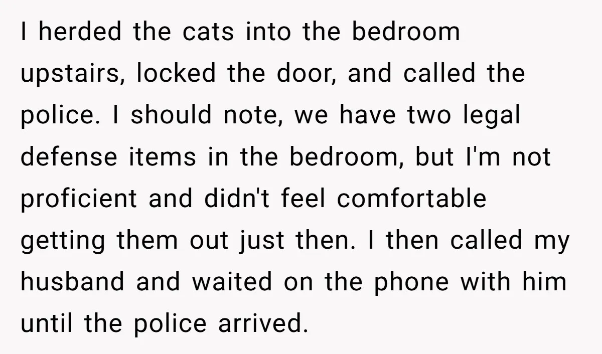 I herded the cats into the bedroom upstairs, locked the door, and called the police. I should note, we have two legal defense items in the bedroom, but I'm not...