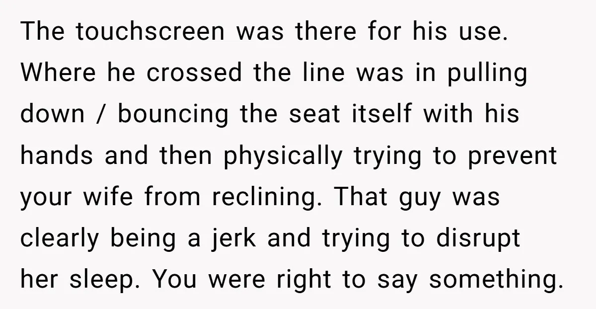 The touchscreen was there for his use. Where he crossed the line was in pulling down / bouncing the seat itself with his hands and then physically trying to prevent...