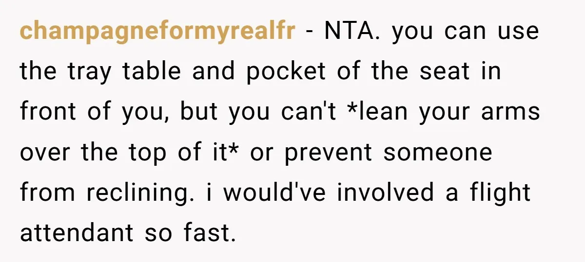 champagneformyrealfr − NTA. you can use the tray table and pocket of the seat in front of you, but you can't *lean your arms over the top of it* or...