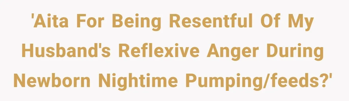 'AITA for being resentful of my husband's reflexive anger during newborn nightime pumping/feeds?'
