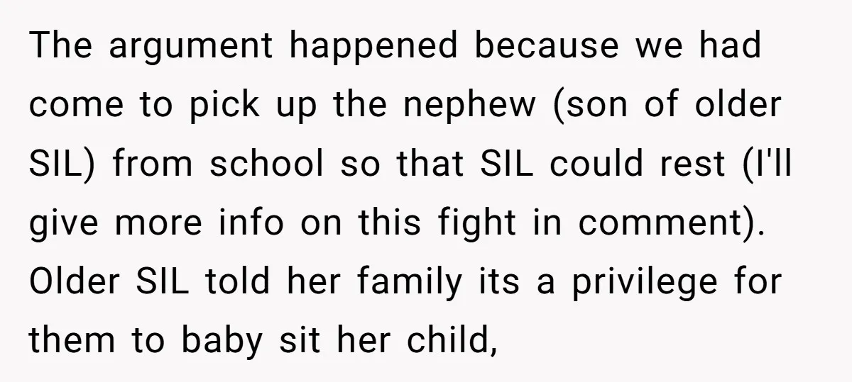 The argument happened because we had come to pick up the nephew (son of older SIL) from school so that SIL could rest (I'll give more info on this fight...