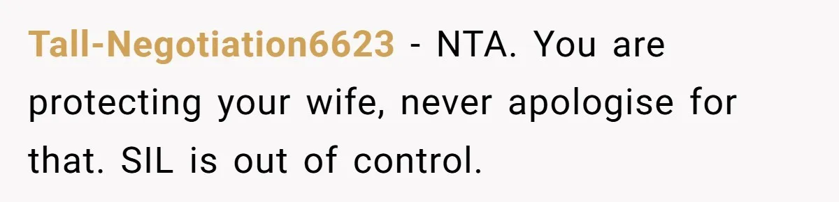 Tall-Negotiation6623 − NTA. You are protecting your wife, never apologise for that. SIL is out of control.