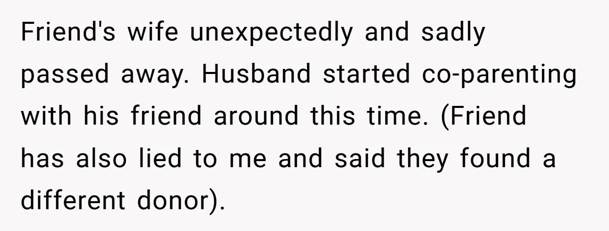 Friend's wife unexpectedly and sadly passed away. Husband started co-parenting with his friend around this time. (Friend has also lied to me and said they found a different donor).