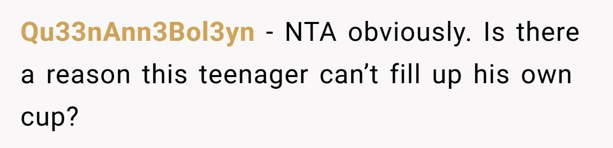 Qu33nAnn3Bol3yn − NTA obviously. Is there a reason this teenager can’t fill up his own cup?