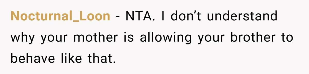 Nocturnal_Loon − NTA. I don’t understand why your mother is allowing your brother to behave like that.
