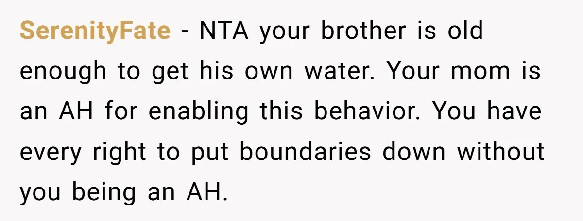 SerenityFate − NTA your brother is old enough to get his own water. Your mom is an AH for enabling this behavior. You have every right to put boundaries down...