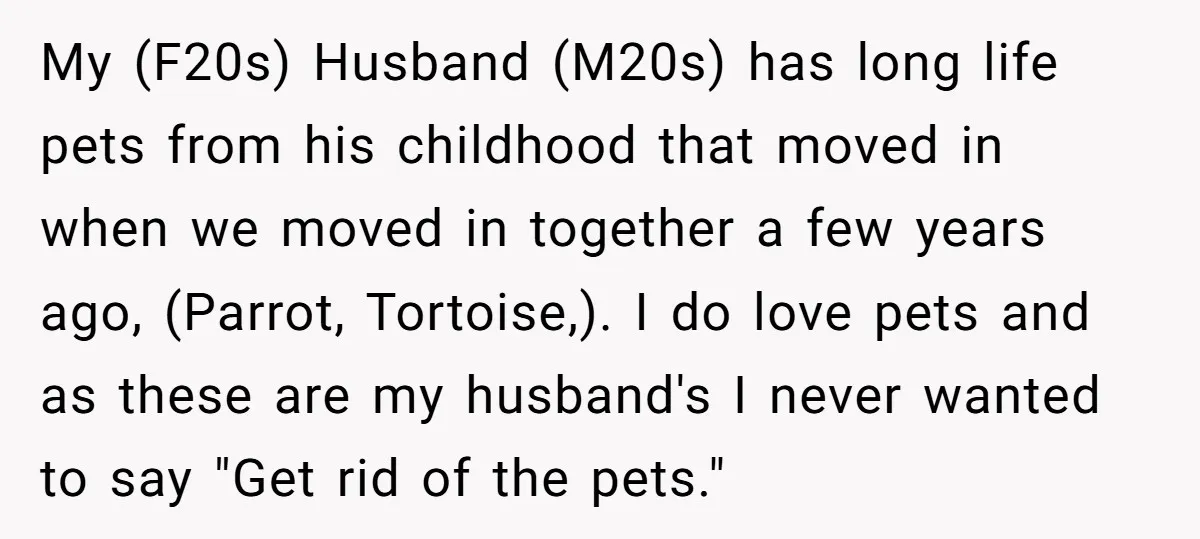 My (F20s) Husband (M20s) has long life pets from his childhood that moved in when we moved in together a few years ago, (Parrot, Tortoise,). I do love pets and...