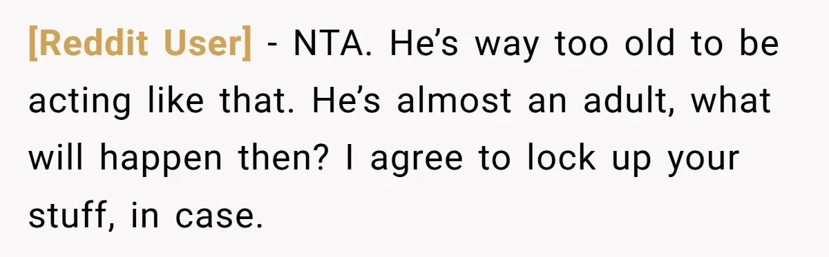 [Reddit User] - NTA. He’s way too old to be acting like that. He’s almost an adult, what will happen then? I agree to lock up your stuff, in case.