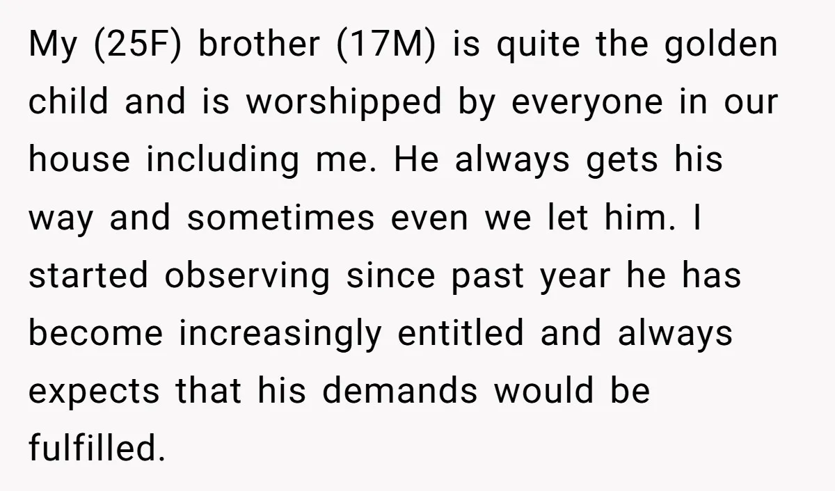 My (25F) brother (17M) is quite the golden child and is worshipped by everyone in our house including me. He always gets his way and sometimes even we let him....
