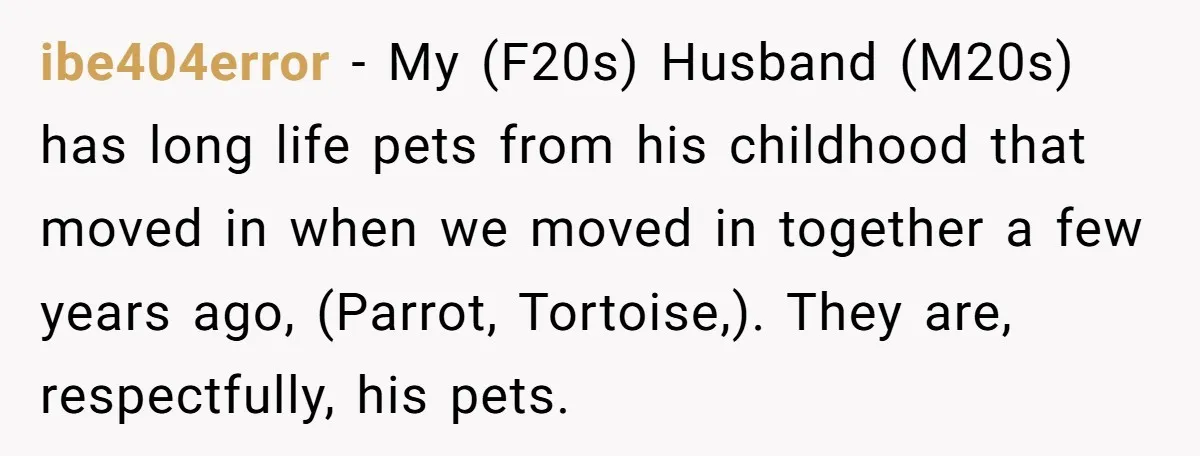 ibe404error − My (F20s) Husband (M20s) has long life pets from his childhood that moved in when we moved in together a few years ago, (Parrot, Tortoise,). They are, respectfully,...