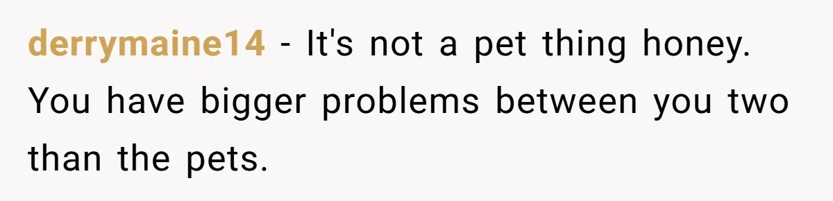 derrymaine14 − It's not a pet thing honey. You have bigger problems between you two than the pets.