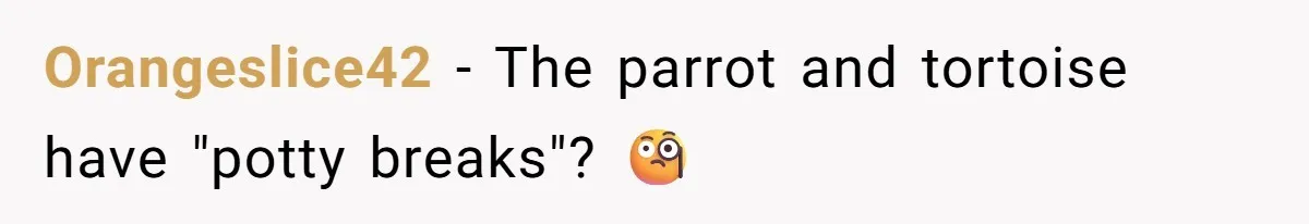 Orangeslice42 − The parrot and tortoise have "potty breaks"? 🧐