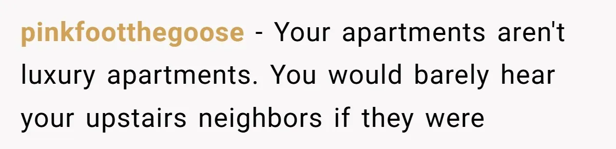 pinkfootthegoose − Your apartments aren't luxury apartments. You would barely hear your upstairs neighbors if they were