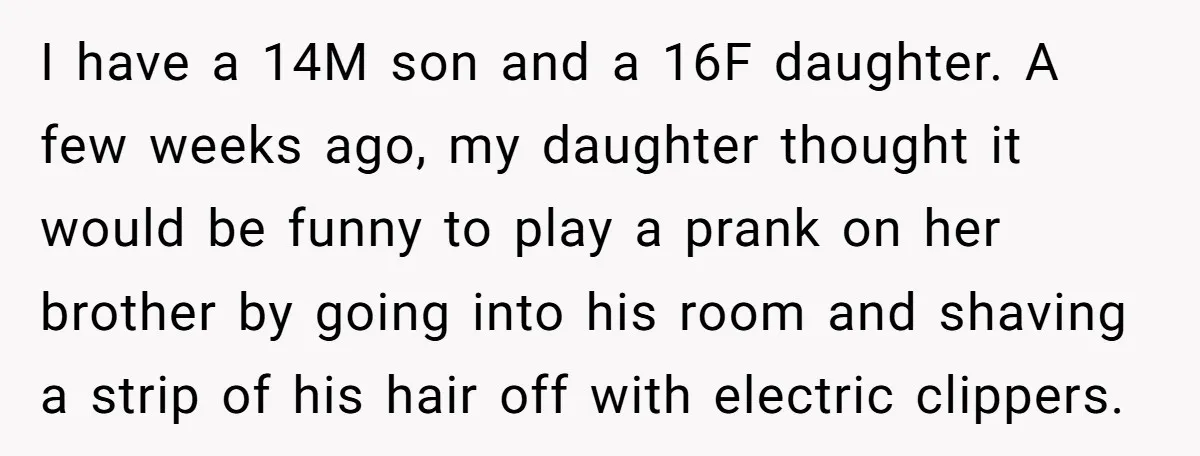 I have a 14M son and a 16F daughter. A few weeks ago, my daughter thought it would be funny to play a prank on her brother by going into...