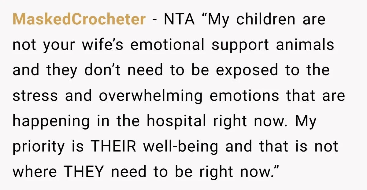 MaskedCrocheter - NTA “My children are not your wife’s emotional support animals and they don’t need to be exposed to the stress and overwhelming emotions that are happening in the...