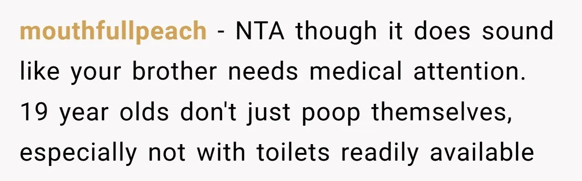 mouthfullpeach − NTA though it does sound like your brother needs medical attention. 19 year olds don't just poop themselves, especially not with toilets readily available