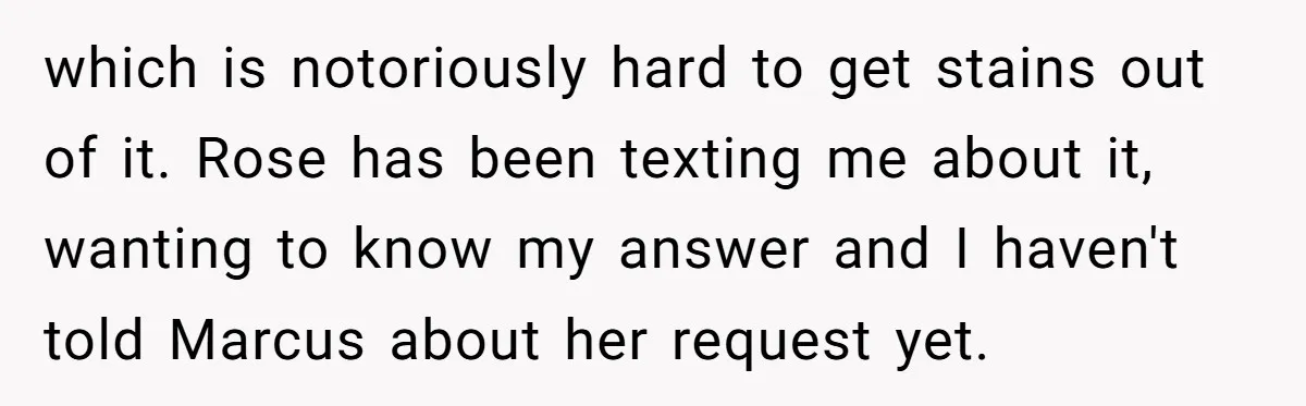 which is notoriously hard to get stains out of it. Rose has been texting me about it, wanting to know my answer and I haven't told Marcus about her request...