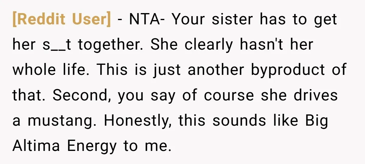 [Reddit User] − NTA- Your sister has to get her s__t together. She clearly hasn't her whole life. This is just another byproduct of that. Second, you say of course...
