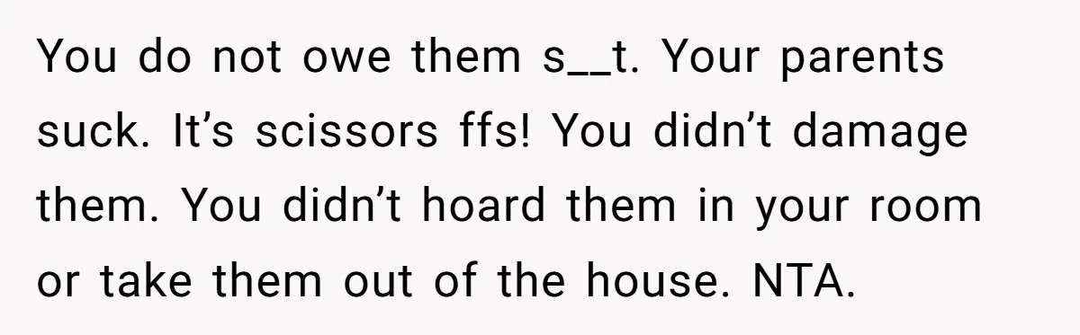 You do not owe them s__t. Your parents suck. It’s scissors ffs! You didn’t damage them. You didn’t hoard them in your room or take them out of the house....