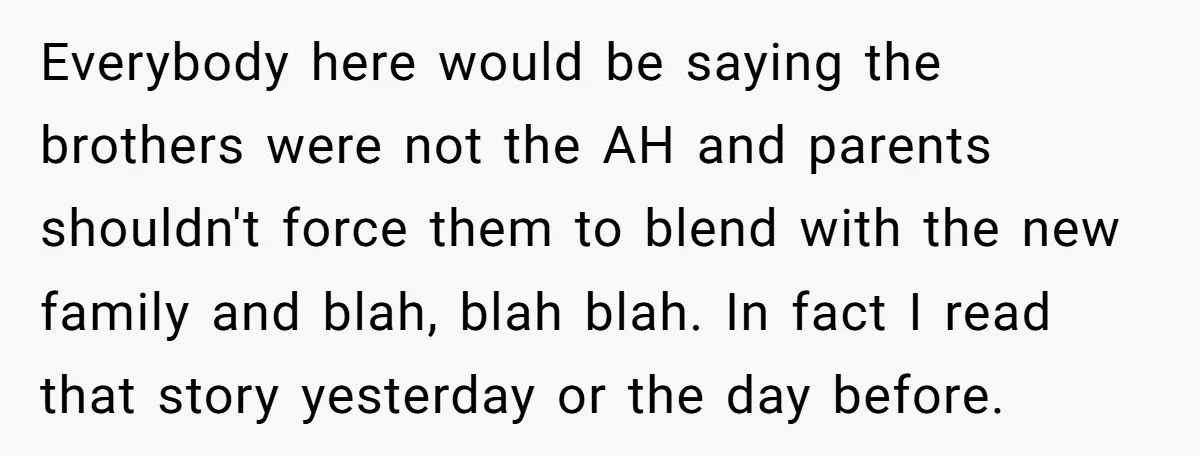 Everybody here would be saying the brothers were not the AH and parents shouldn't force them to blend with the new family and blah, blah blah. In fact I read...