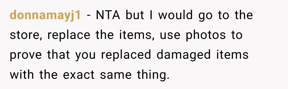 donnamayj1 − NTA but I would go to the store, replace the items, use photos to prove that you replaced damaged items with the exact same thing.