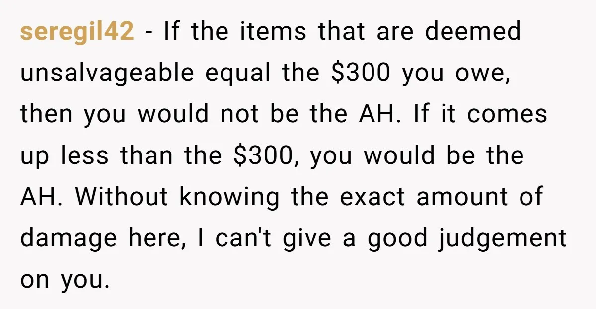seregil42 − If the items that are deemed unsalvageable equal the $300 you owe, then you would not be the AH. If it comes up less than the $300, you...