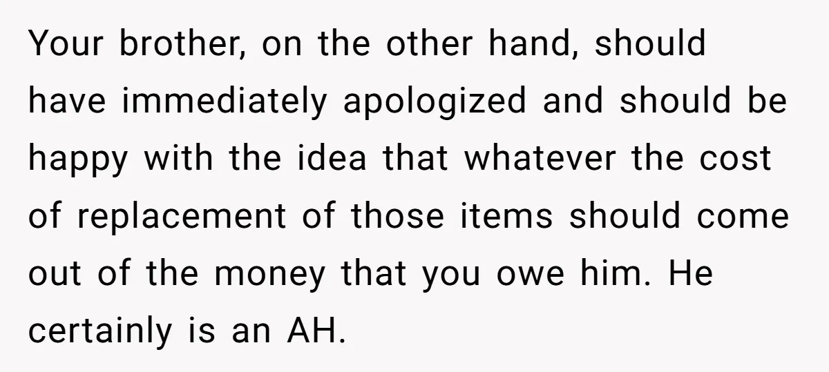 Your brother, on the other hand, should have immediately apologized and should be happy with the idea that whatever the cost of replacement of those items should come out of...