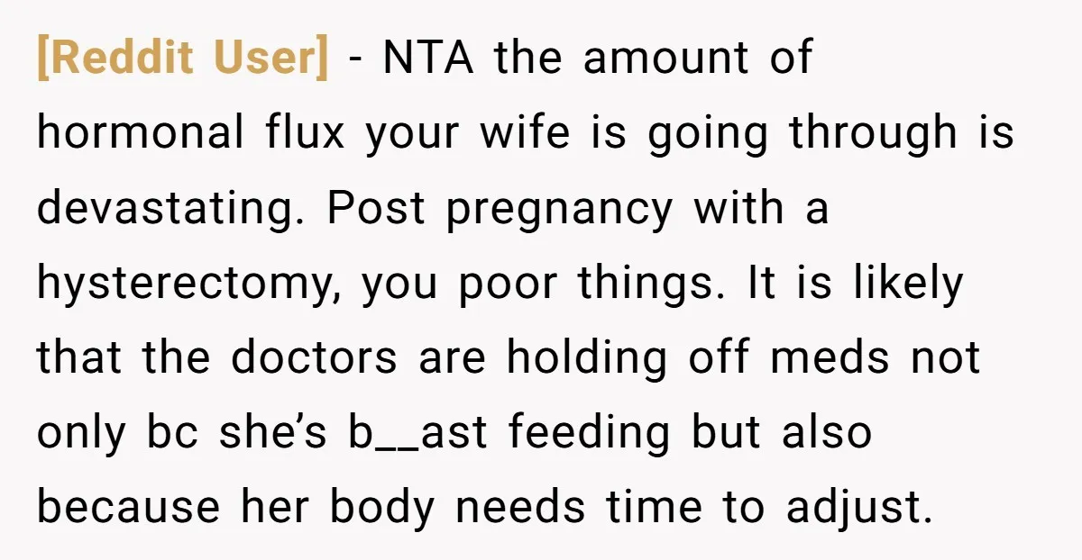 [Reddit User] − NTA the amount of hormonal flux your wife is going through is devastating. Post pregnancy with a hysterectomy, you poor things. It is likely that the doctors...