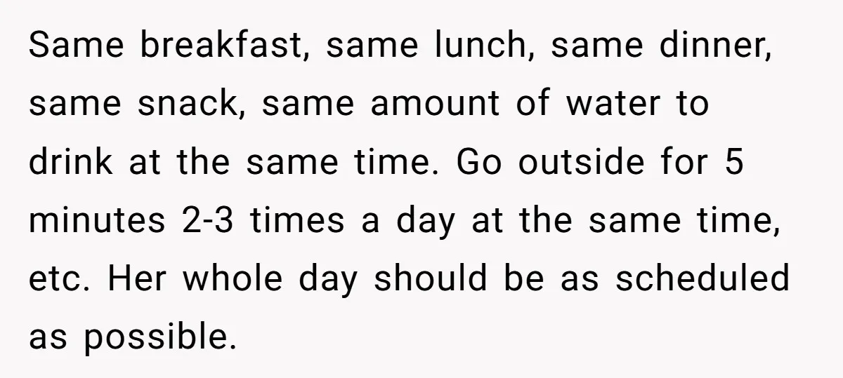 Same breakfast, same lunch, same dinner, same snack, same amount of water to drink at the same time. Go outside for 5 minutes 2-3 times a day at the same...
