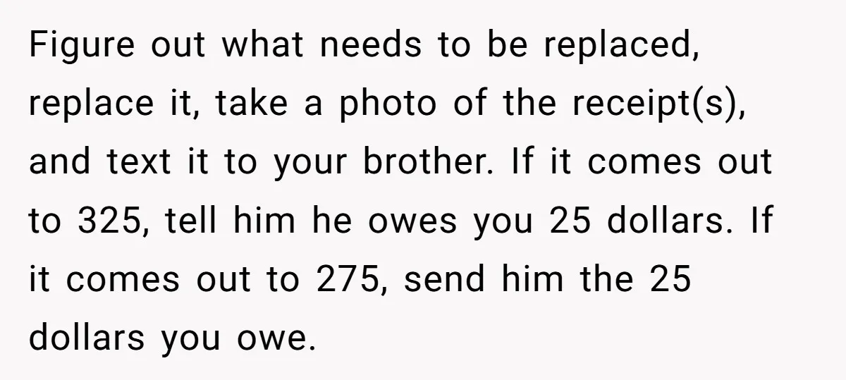 Figure out what needs to be replaced, replace it, take a photo of the receipt(s), and text it to your brother. If it comes out to 325, tell him he...