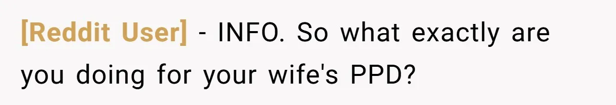[Reddit User] − INFO. So what exactly are you doing for your wife's PPD?