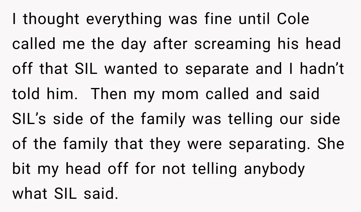 I thought everything was fine until Cole called me the day after screaming his head off that SIL wanted to separate and I hadn’t told him. Then my mom called...