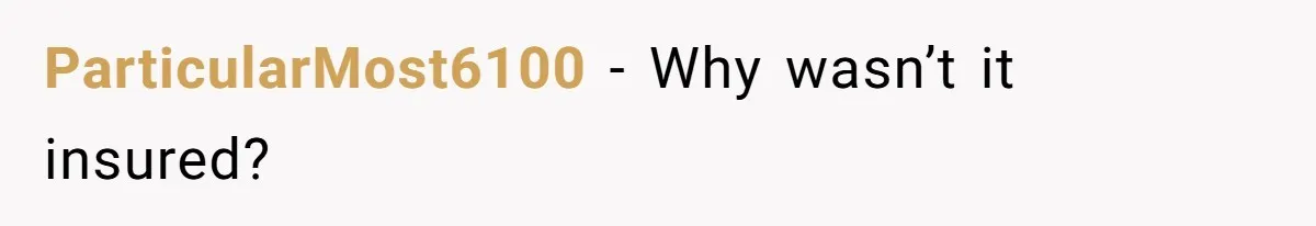 ParticularMost6100 − Why wasn’t it insured?