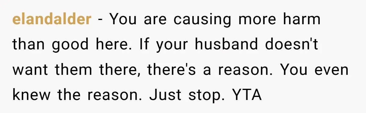 elandalder − You are causing more harm than good here. If your husband doesn't want them there, there's a reason. You even knew the reason. Just stop. YTA