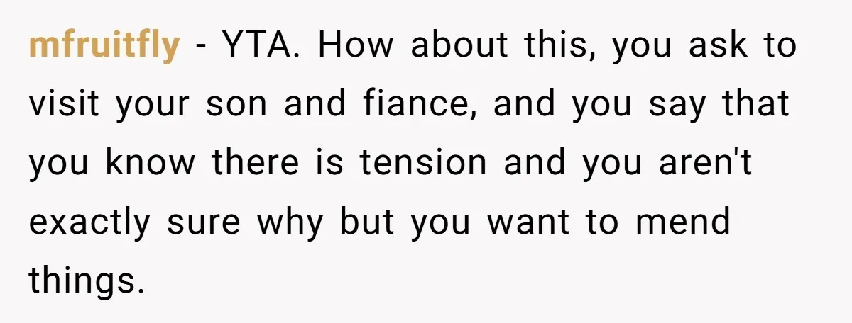 mfruitfly − YTA. How about this, you ask to visit your son and fiance, and you say that you know there is tension and you aren't exactly sure why but...