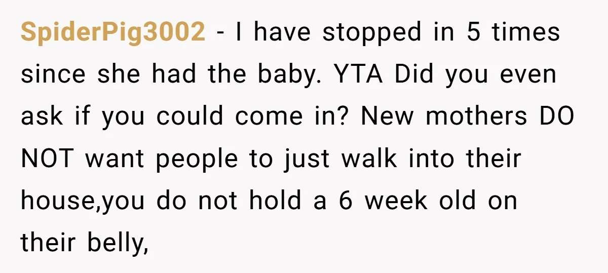 SpiderPig3002 − I have stopped in 5 times since she had the baby. YTA Did you even ask if you could come in? New mothers DO NOT want people to...