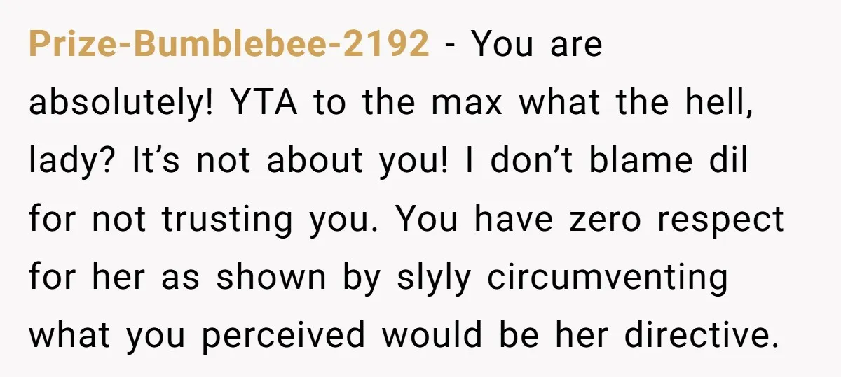 Prize-Bumblebee-2192 − You are absolutely! YTA to the max what the hell, lady? It’s not about you! I don’t blame dil for not trusting you. You have zero respect for...