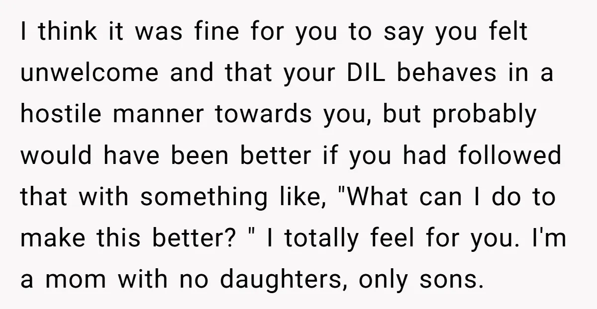 I think it was fine for you to say you felt unwelcome and that your DIL behaves in a hostile manner towards you, but probably would have been better if...