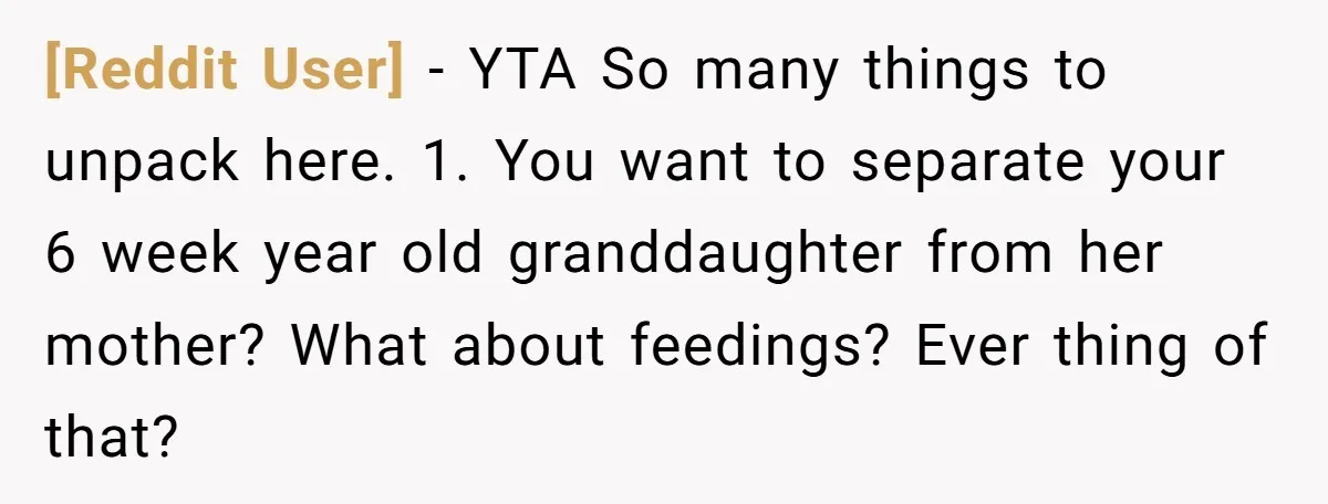 [Reddit User] − YTA So many things to unpack here. 1. You want to separate your 6 week year old granddaughter from her mother? What about feedings? Ever thing of...