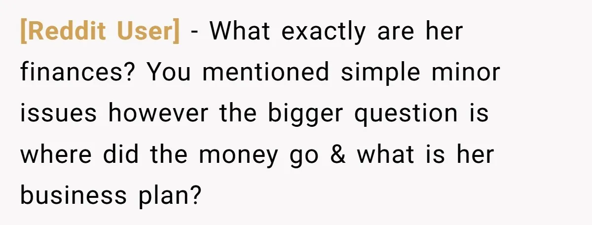 [Reddit User] − What exactly are her finances? You mentioned simple minor issues however the bigger question is where did the money go & what is her business plan?